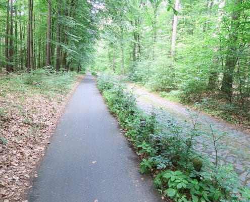 Mit dem Birdy auf dem Usedomradweg